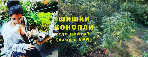 PSILOCYBIN Богородск